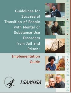 Guidelines for Successful Transition - publication cover